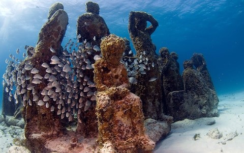 artificial reef