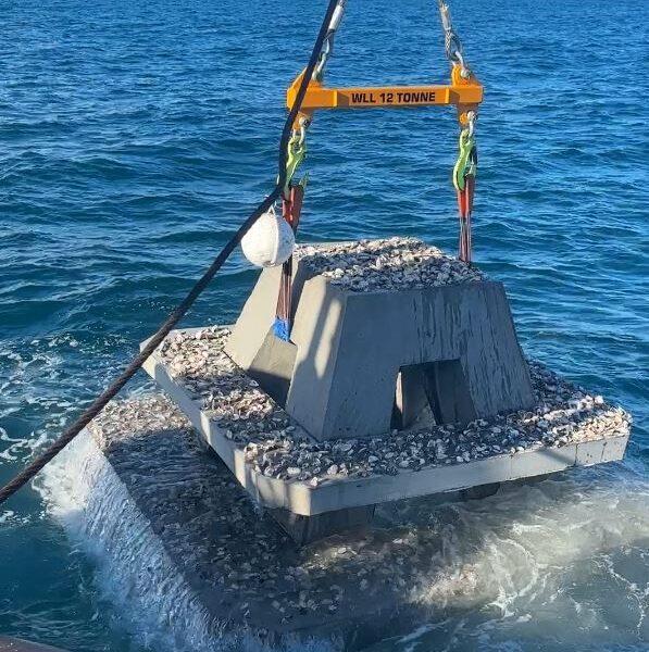 image4 artificial reef